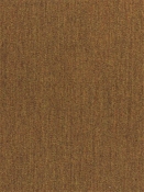 Canvas Teak 5488-0000 Sunbrella Fabric